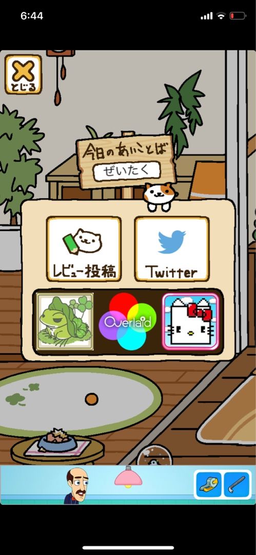 ねこあつめ 今日の合言葉 猫のみーとぐーのお家 楽天ブログ