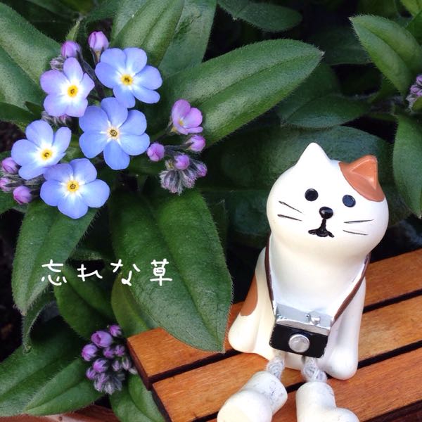 rblog-20150327213515-01.jpg