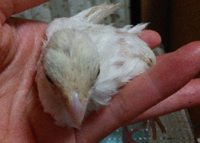 20150710(4)