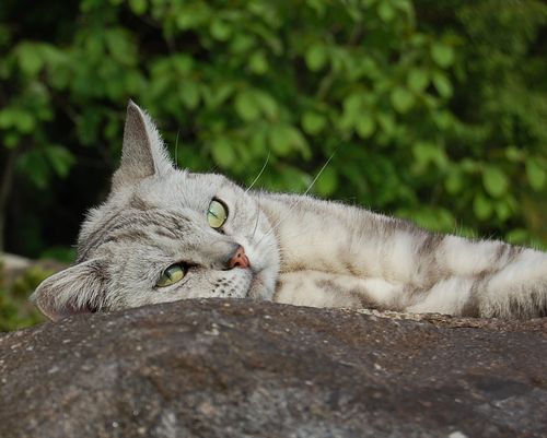 DSC_0421.JPG