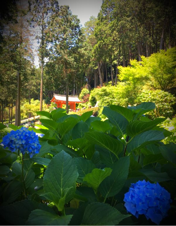 rblog-20170627120011-01.jpg