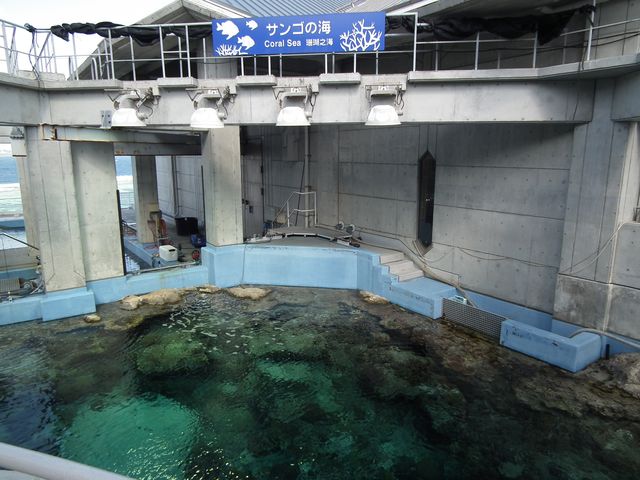 DSCF9148.JPG