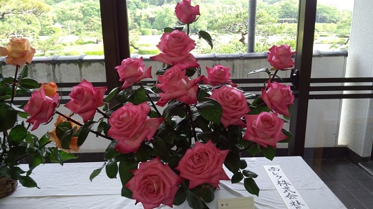 IMG_20130511_160415.jpg