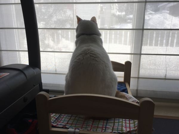 rblog-20180116062205-03.jpg