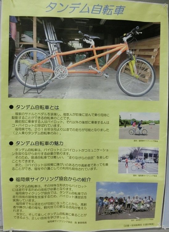初めて咲いた 自転車の交通ルールとマナーについて知ろう 毎日の生活で感じたこと 楽天ブログ