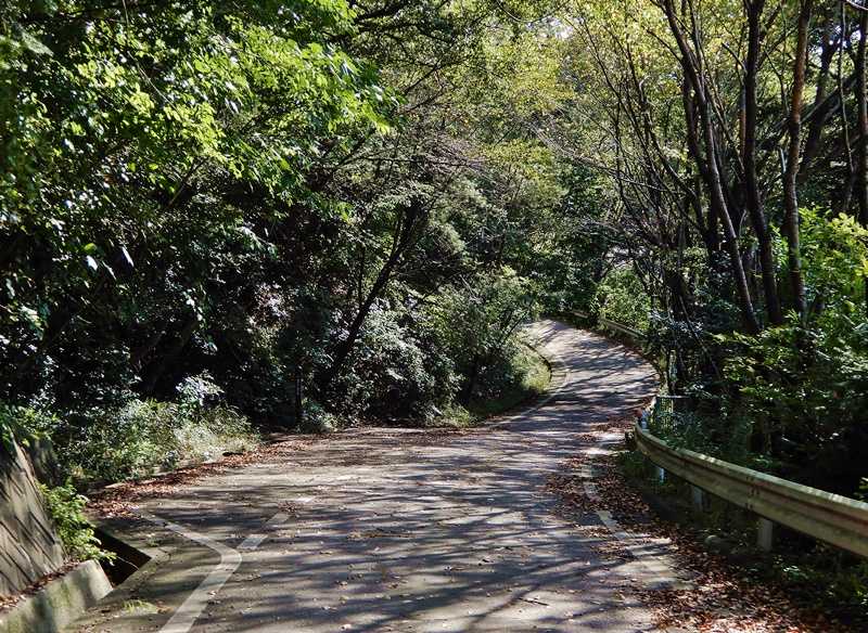 遊歩道