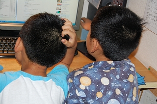 D40 163.jpg