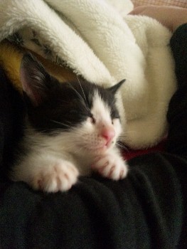 120617_045504 (263x350).jpg