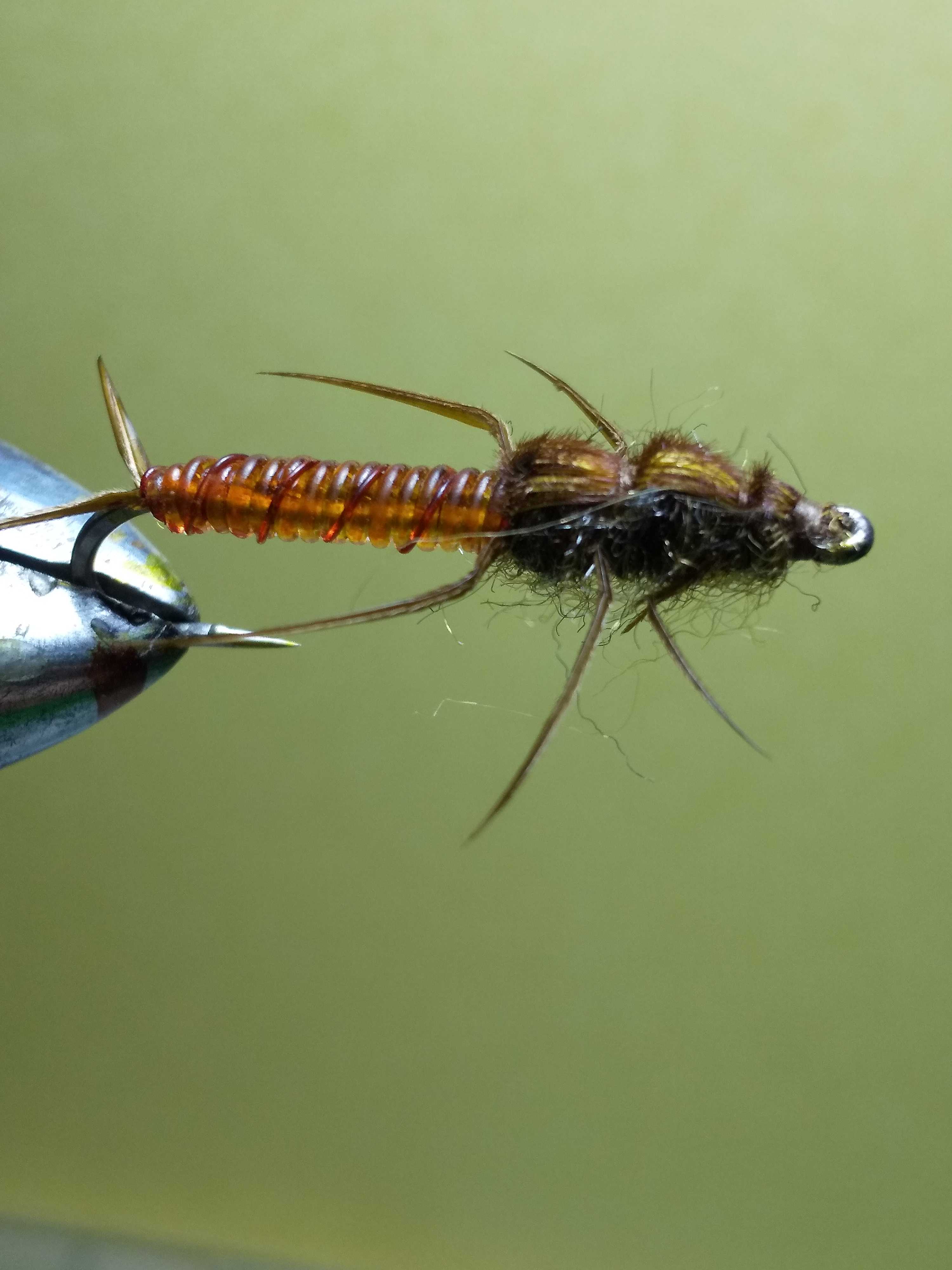 新着記事一覧 北海道のフライタイヤー 楽天ブログ