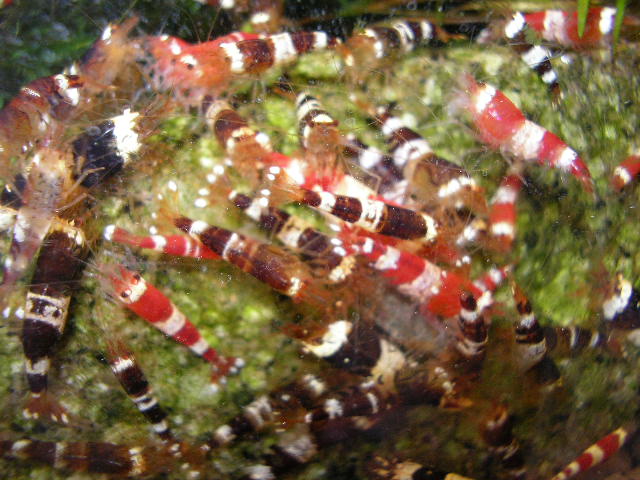 SANY0010.JPG