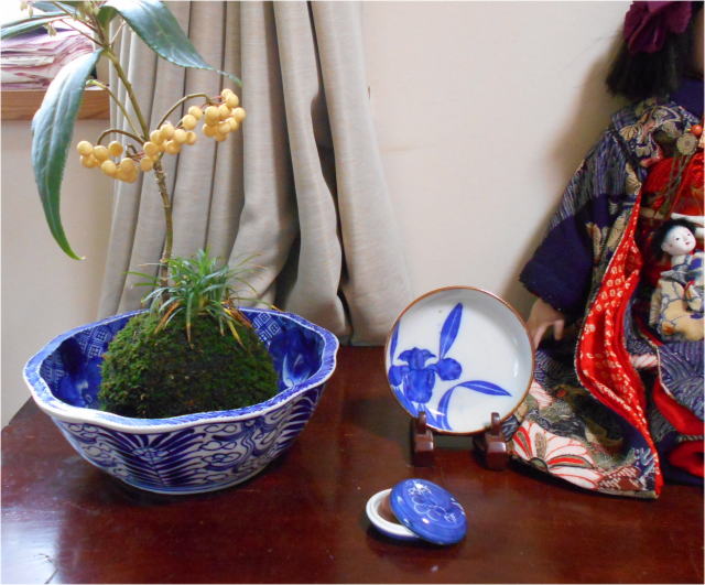 DSCN0744.JPG