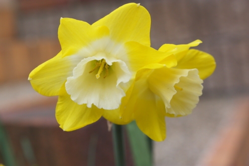 20160414011.JPG
