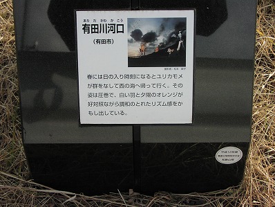 朝日夕日百選有田川2.jpg
