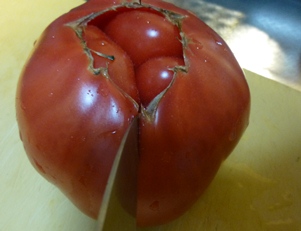 P1020441.JPG