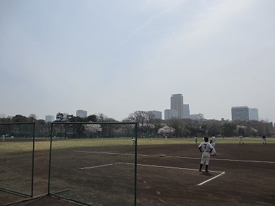 明治神宮外苑　桜の野球場で子どもたちが試合中