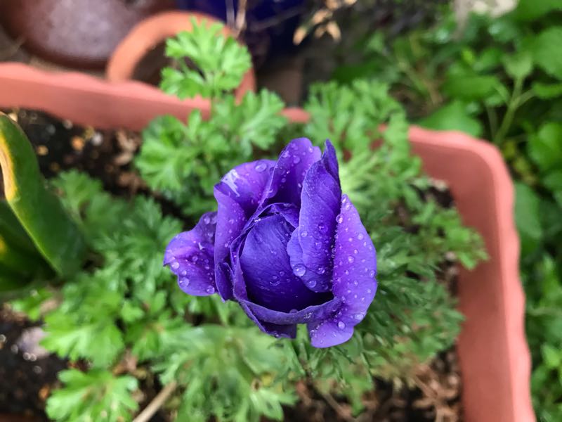 rblog-20190419193912-09.jpg