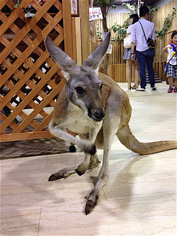 rblog-20140906212700-02.jpg