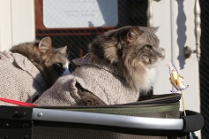 IMG_1698-2.jpg