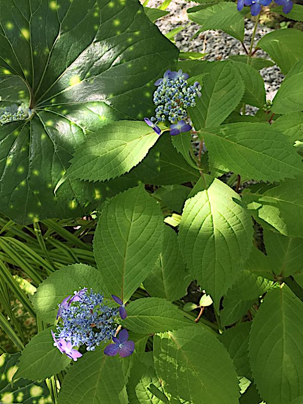 rblog-20180603201030-01.jpg