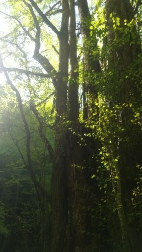 rblog-20180509052956-08.jpg