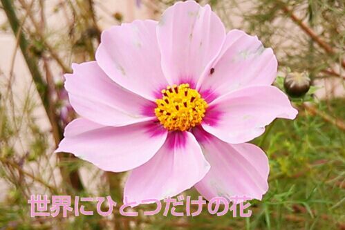rblog-20161124211656-00.jpg
