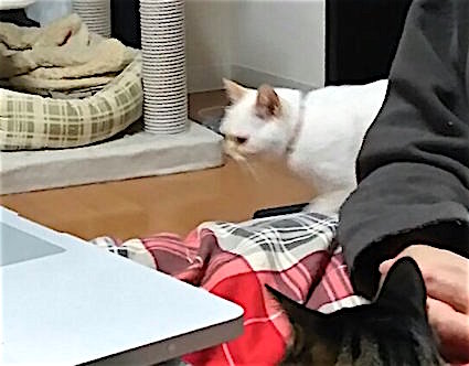 20160118215944_p.jpg