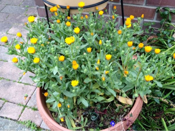 rblog-20140319205953-02.jpg