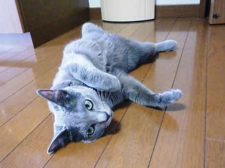 2014年07月17日_P1190234.jpg