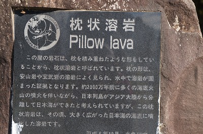 DSC02806.jpg