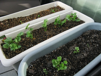 20121202-3.JPG