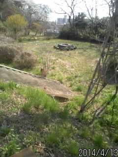 ミニ公園