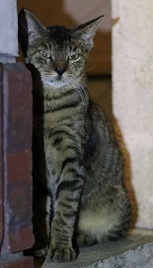 IMG_4120-11.jpg