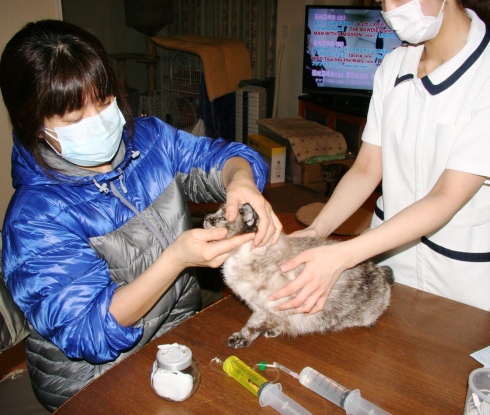 20140208ｼｬｵﾝ01.jpg