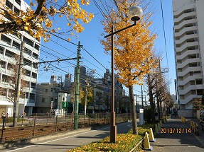 IMG_0906b.jpg