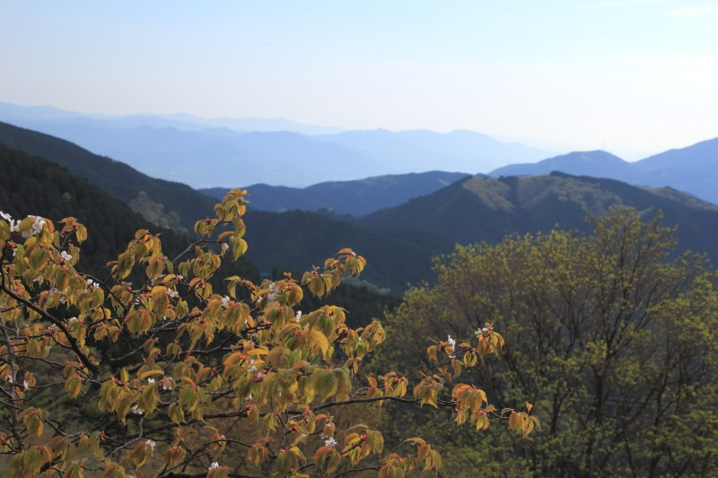 金剛山_003.jpg