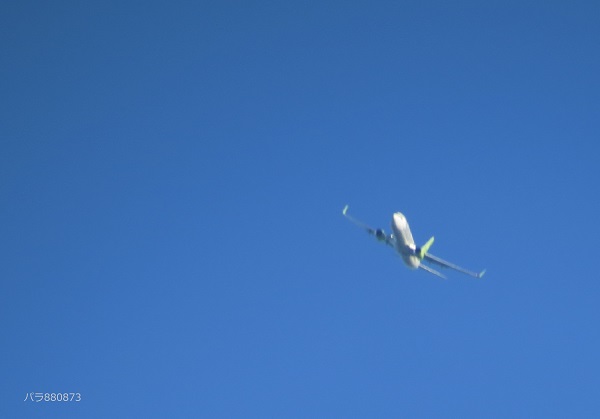 IMG_1406 - コピー - コピー.JPG