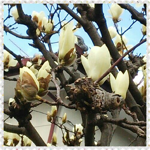 rblog-20160313104233-00.jpg
