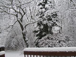 雪景色