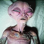 image3.gif