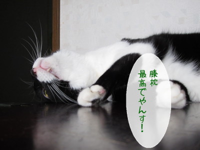 20120920110339_w_400_h_300_7889475.jpg