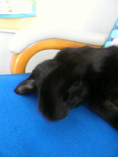 2013080518210000.jpg