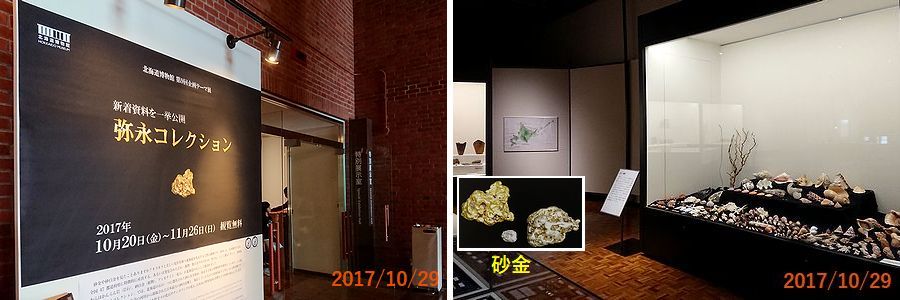 １０／２９コレクションの貝と砂金.jpg