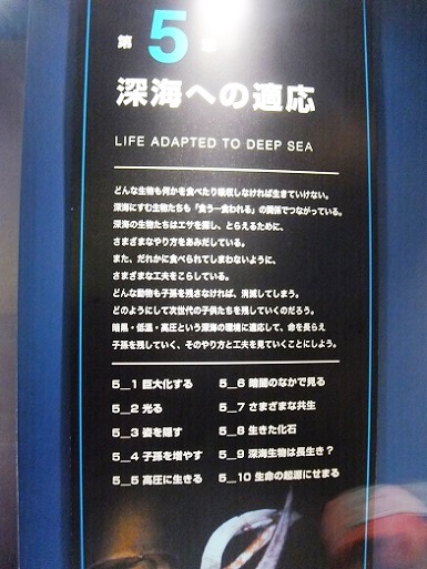 第五章深海への適応.jpg