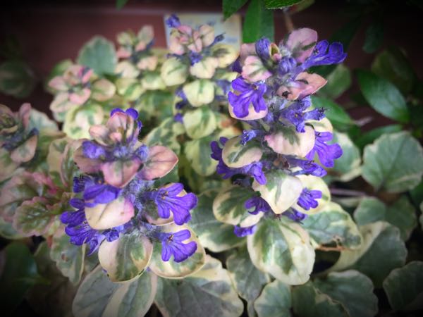 rblog-20160427174116-05.jpg