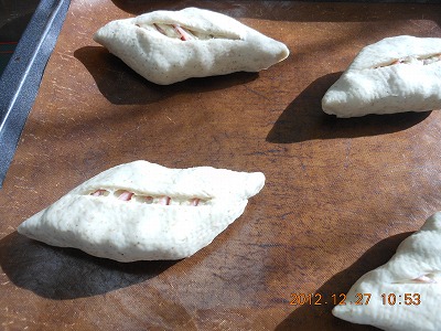 DSCN1133.jpg