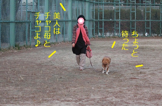 真打登場