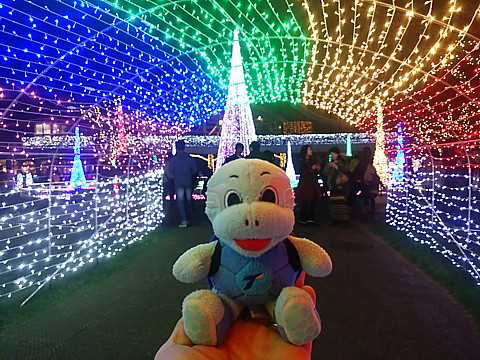 IMG_20151226_190033.jpg