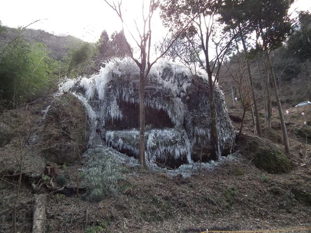 DSCF6404.JPG
