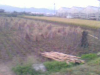dakkoku
