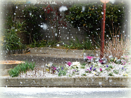 雪